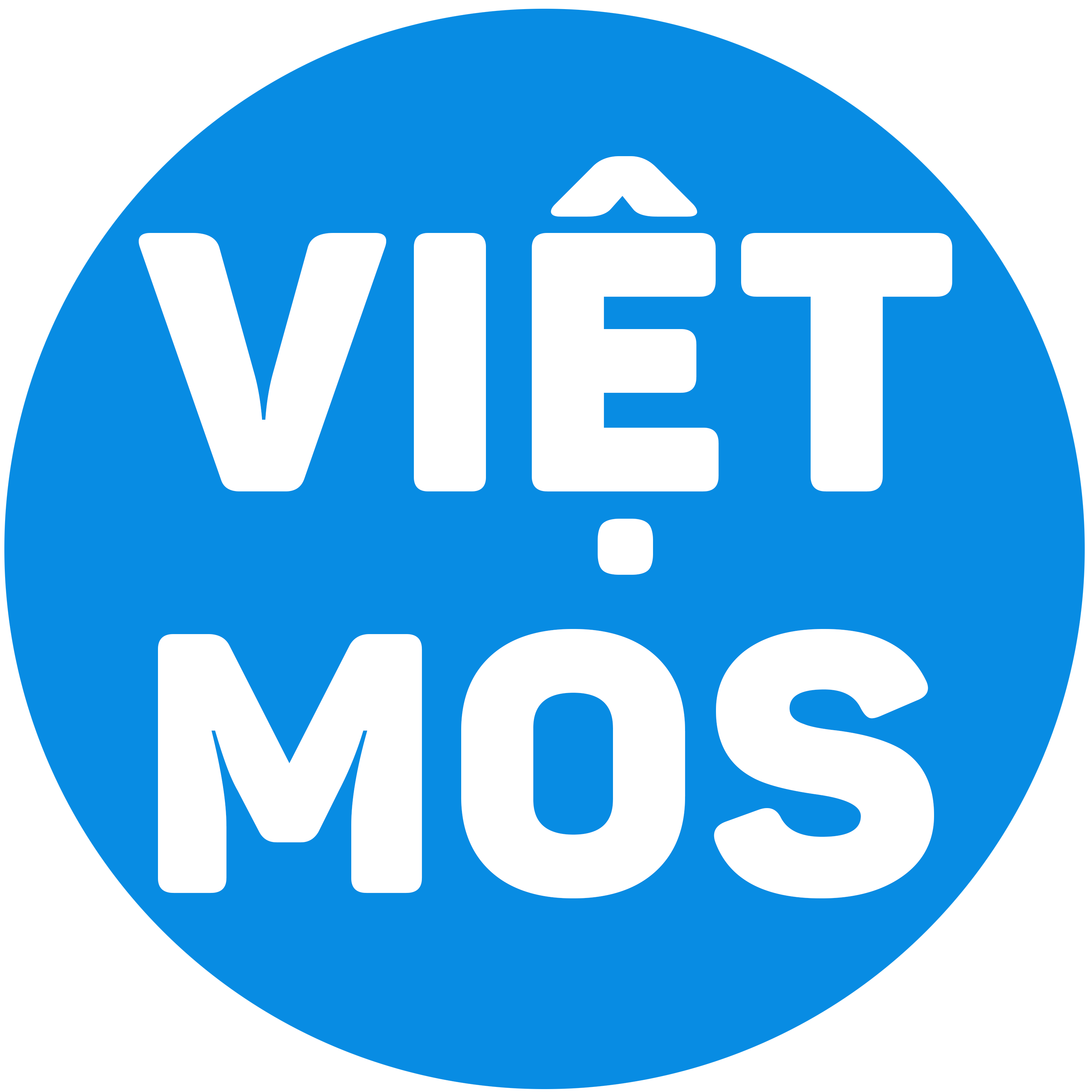 Việt MOS - Luyện Thi MOS Hải Phòng